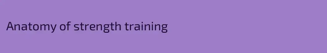 Anatomy of strength training
